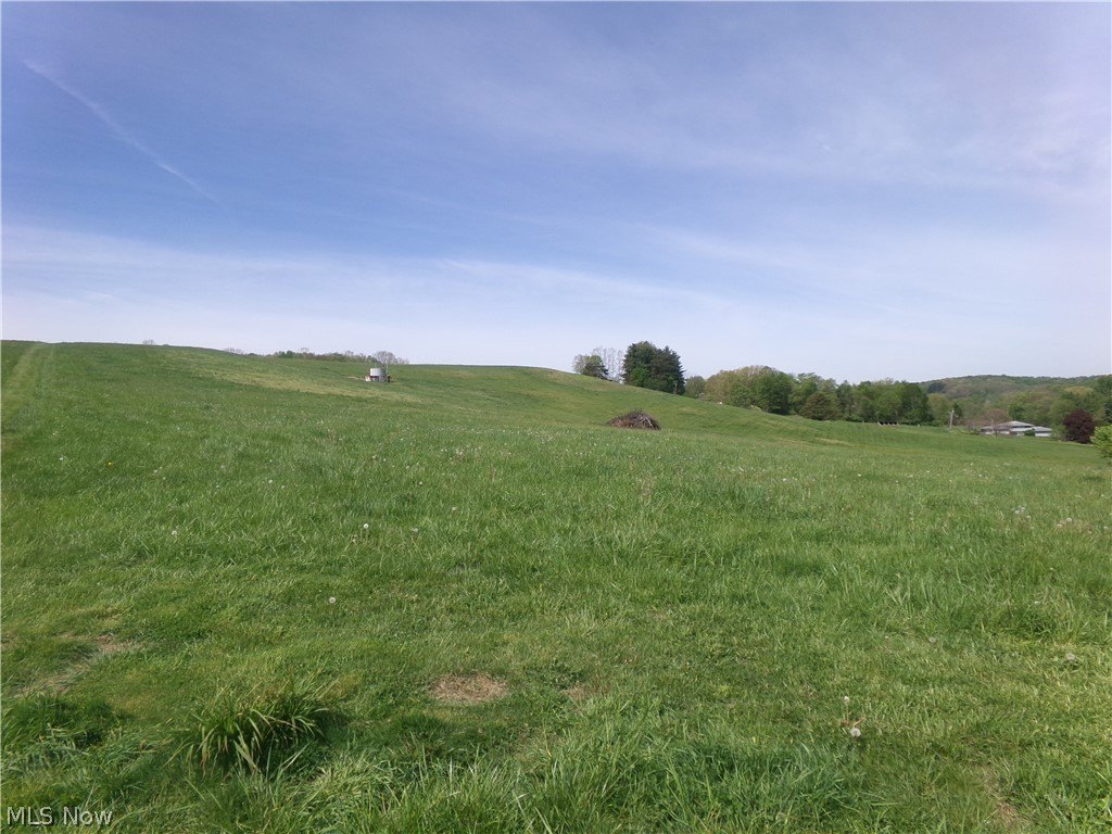 Picture 10