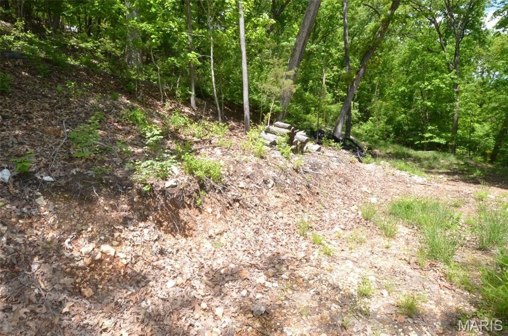 Picture 18