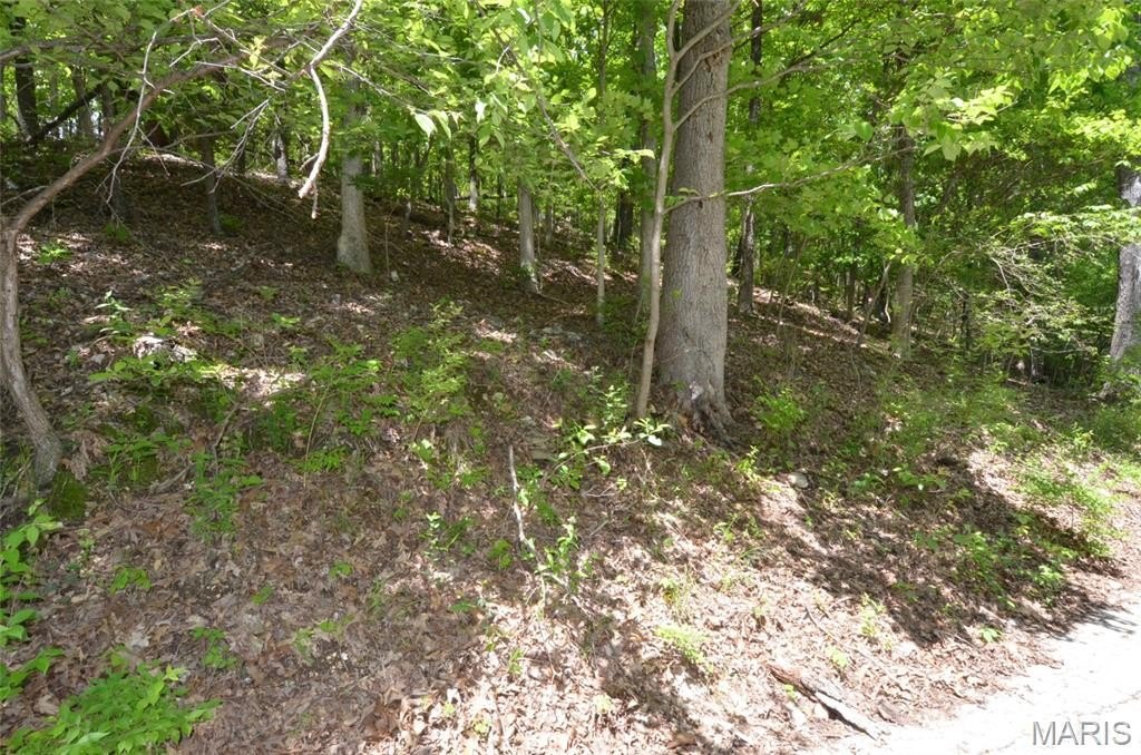 Picture 23