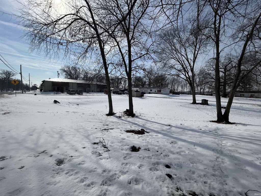 Picture 3