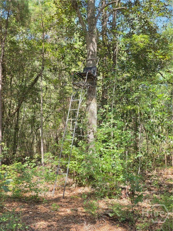 Picture 25