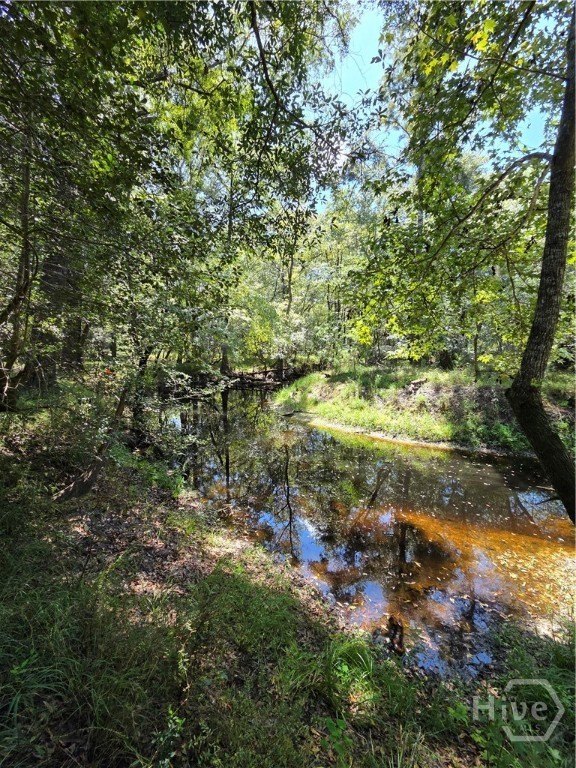 Picture 17