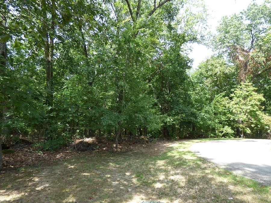 Picture 6