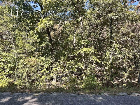 Vacant Land, Cherokee Village, AR