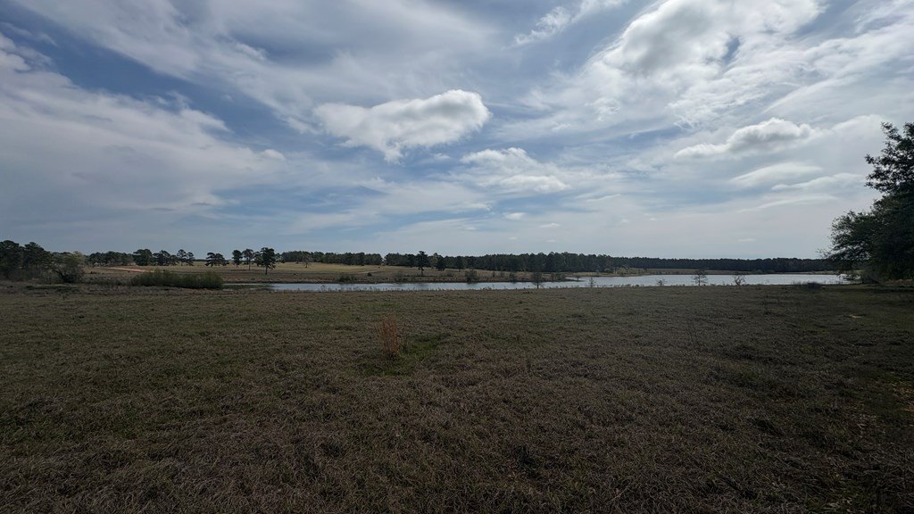 Picture 4
