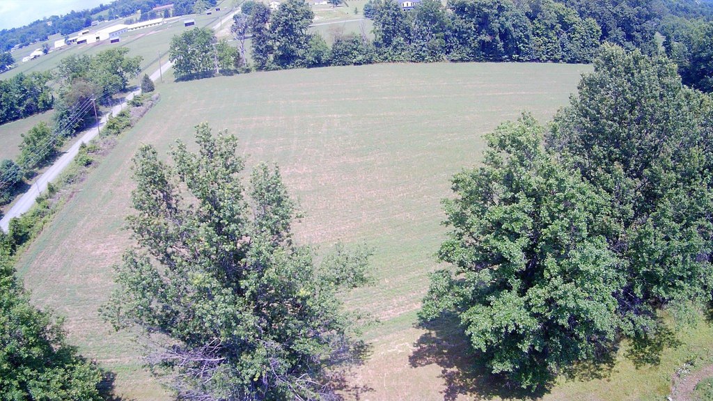 Picture 2