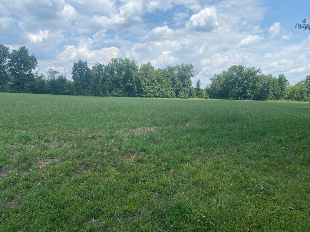 Picture 19