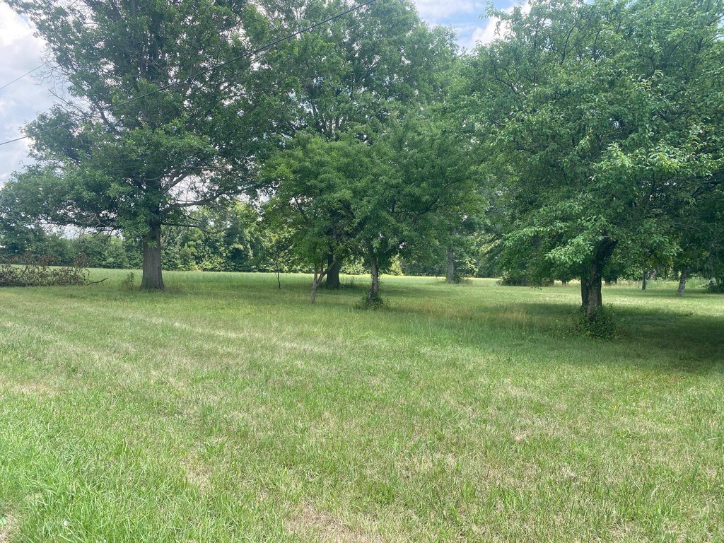 Picture 18