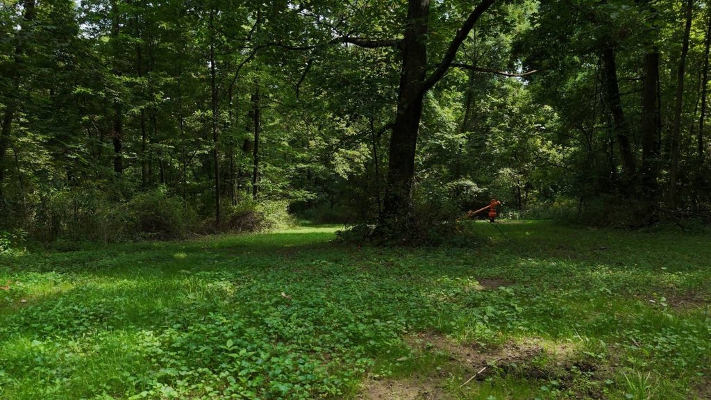 Picture 22