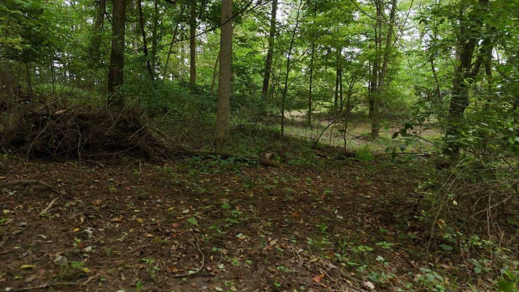 Picture 33