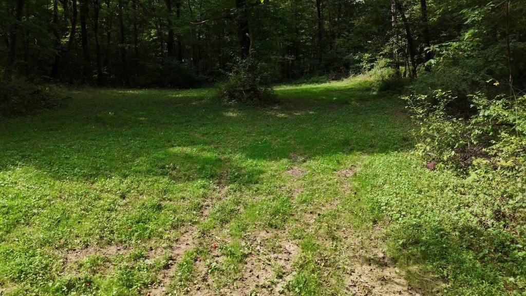 Picture 20