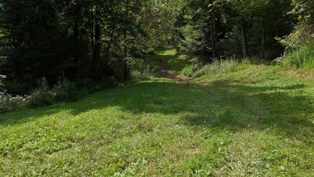 Picture 15
