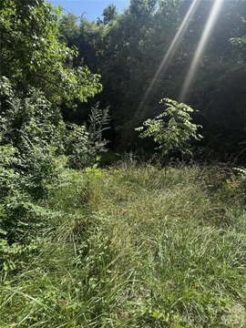 LAND - Chester, SC