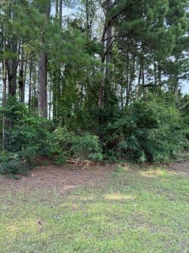 LAND - Sumter, SC