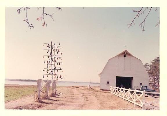 Picture 21