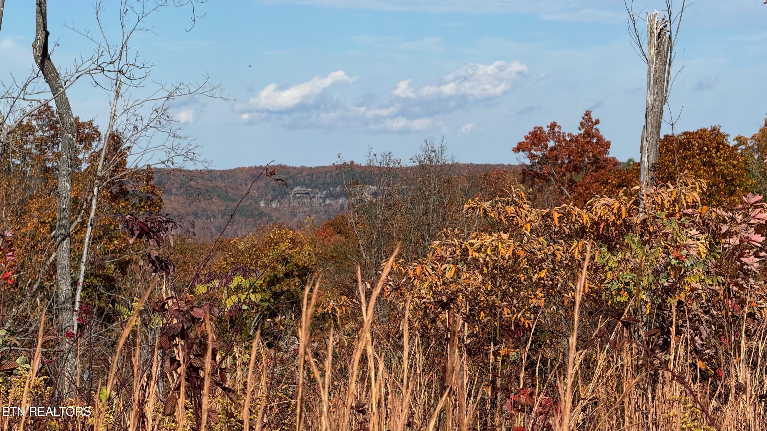 Jamestown, TN Land with Views