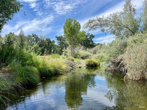 40-Acre Creekside Legacy Property