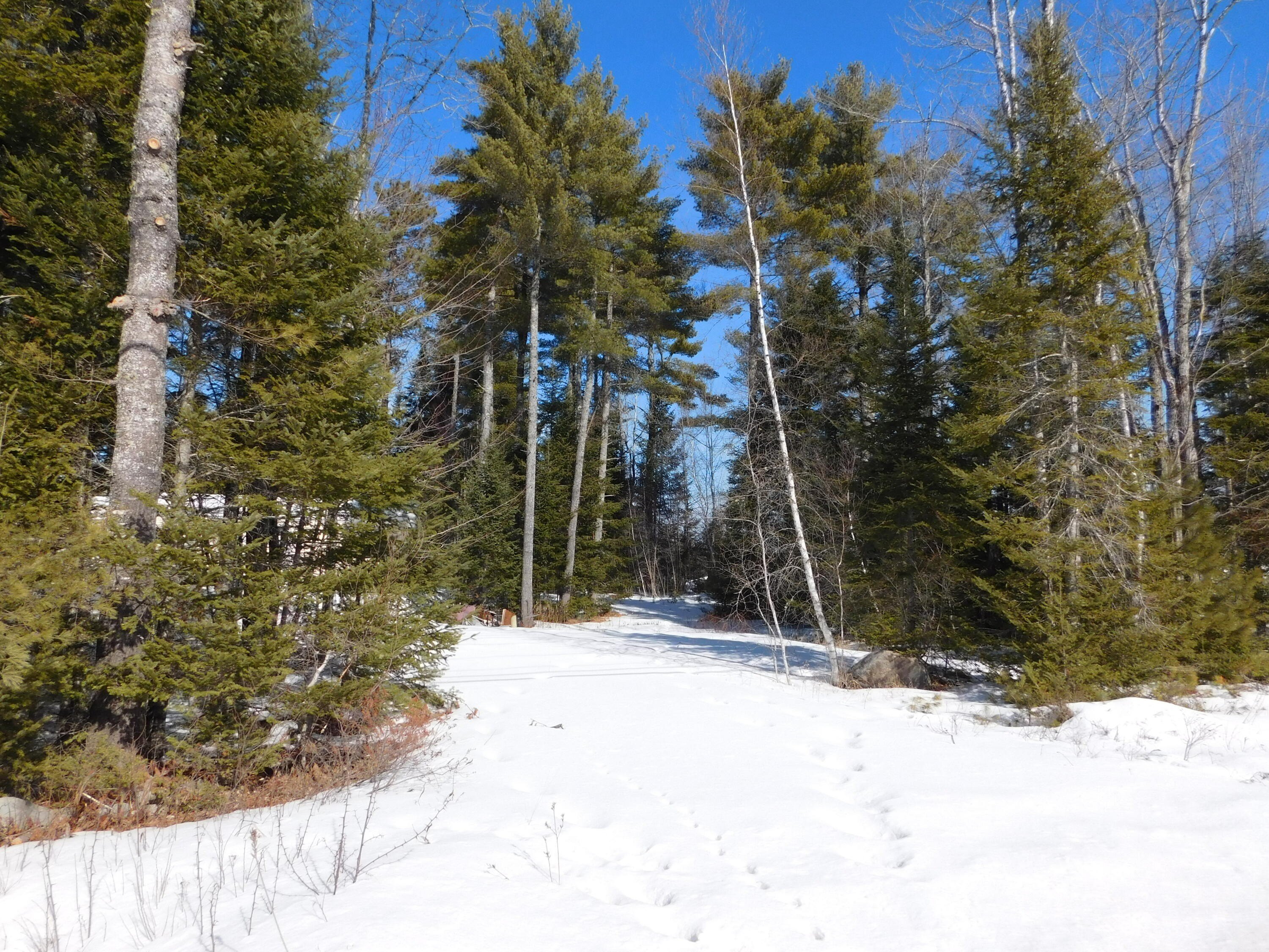 Greenbush Land with Septic System