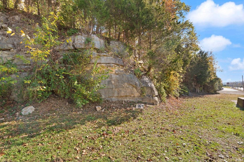 Picture 6