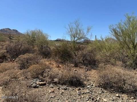 LAND - Fountain Hills, AZ