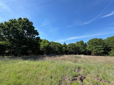 Secluded 6.4-Acre Ag-Exempt Land