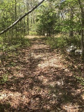 27-Acre Parcel in Mansfield, MA