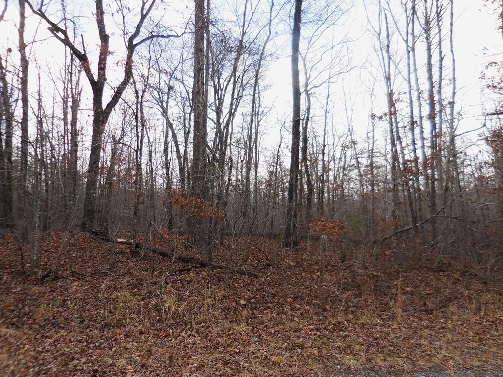 Land in Kiowa Subdivision