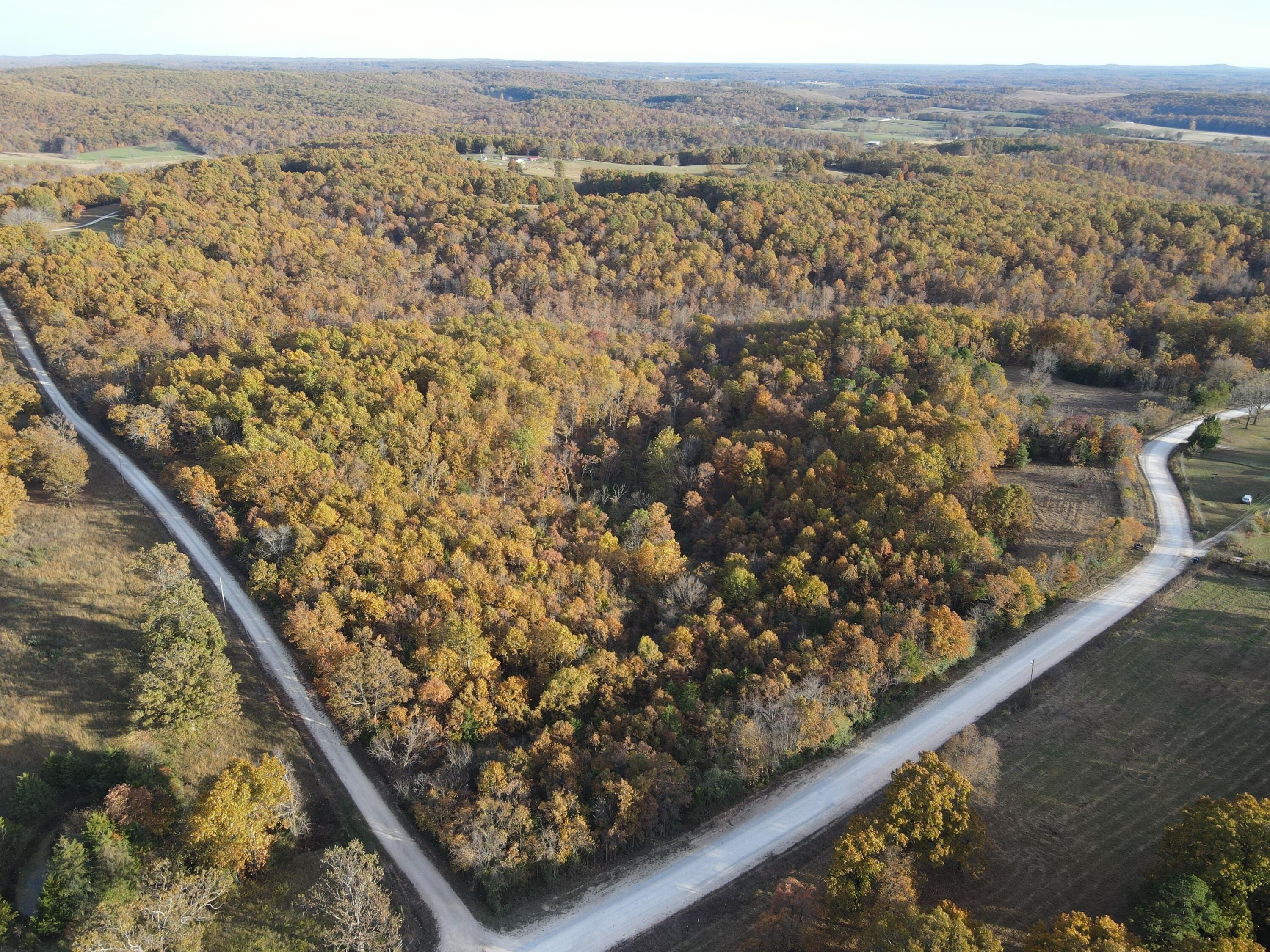 36 Acres of Hunting Land