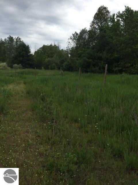 Picture 8