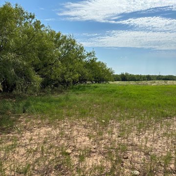 Rural Acreage with Mesquite Groves