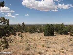 Heber, AZ 40-Acre Land Parcel