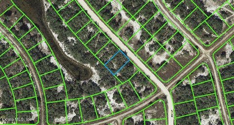 Residential Land in Lake Placid