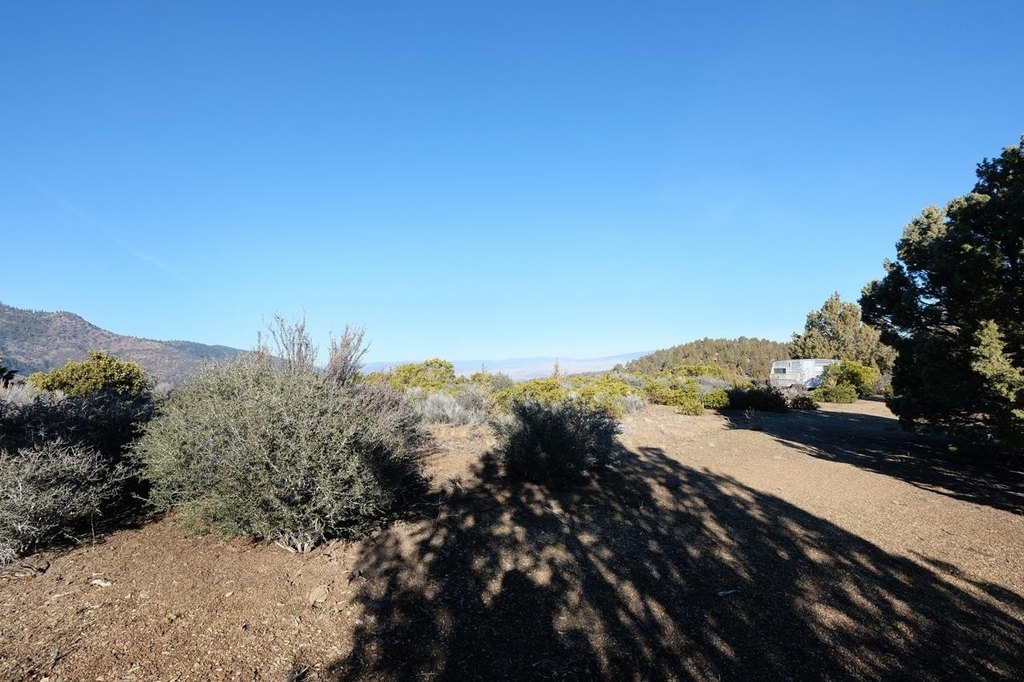 Picture 17