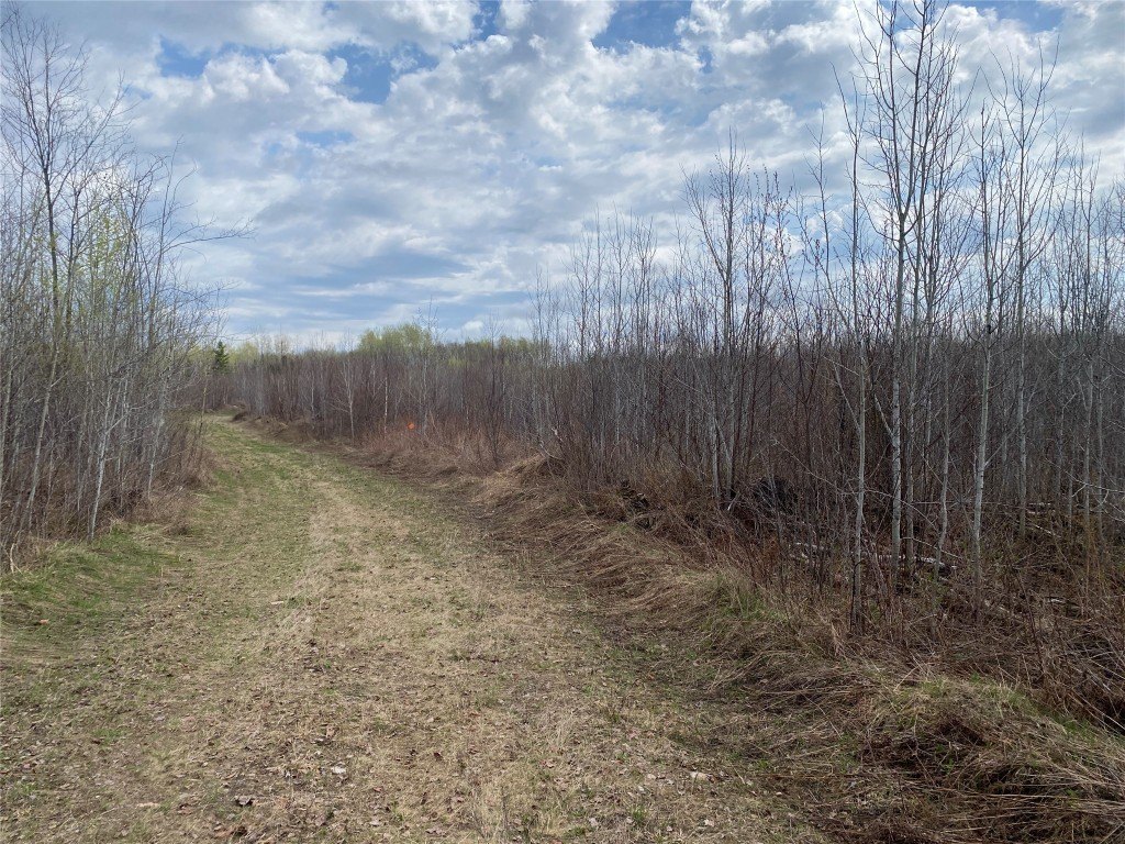 Picture 4