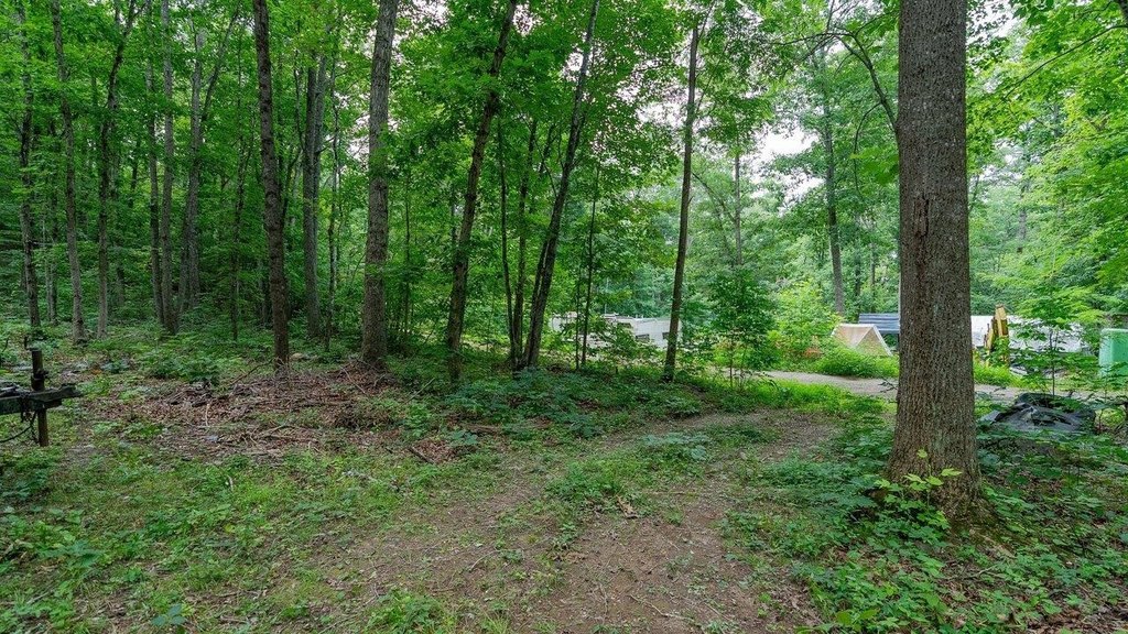 Picture 18