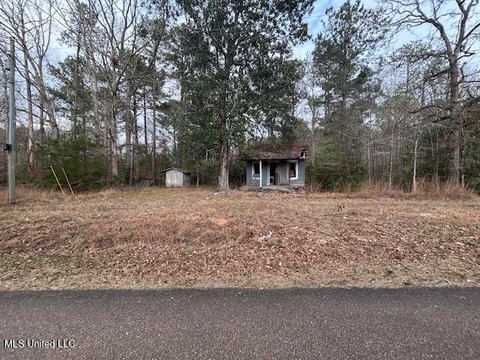 LAND - Bogue Chitto, MS
