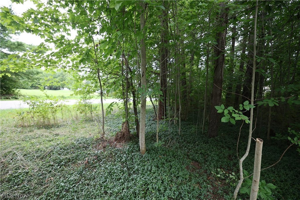 Picture 14