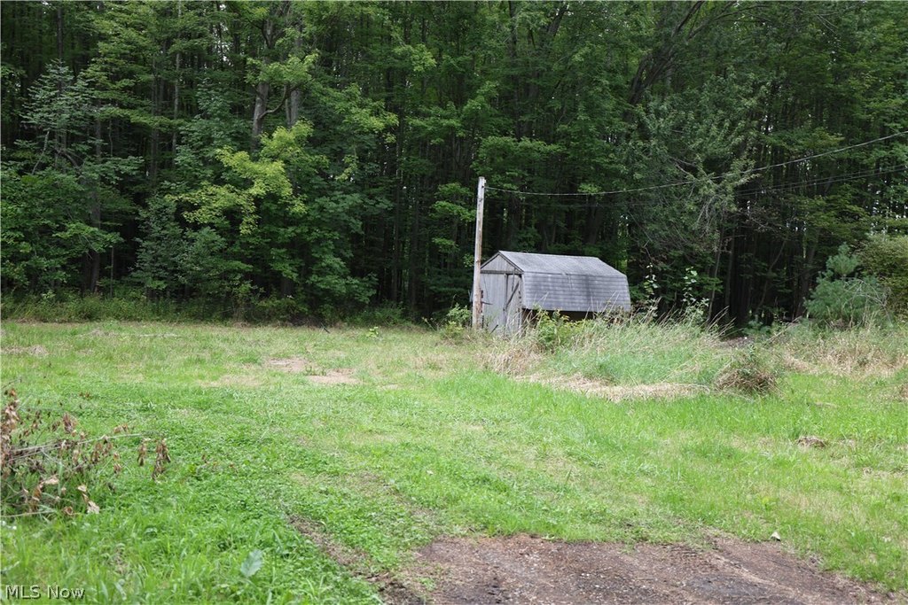 Picture 5
