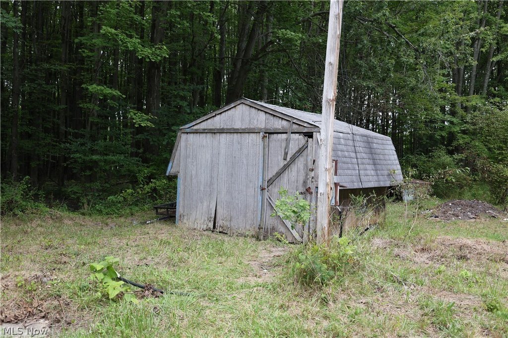 Picture 6