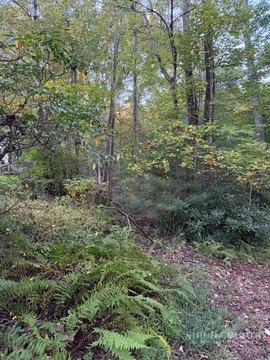 Land, Ennice, NC