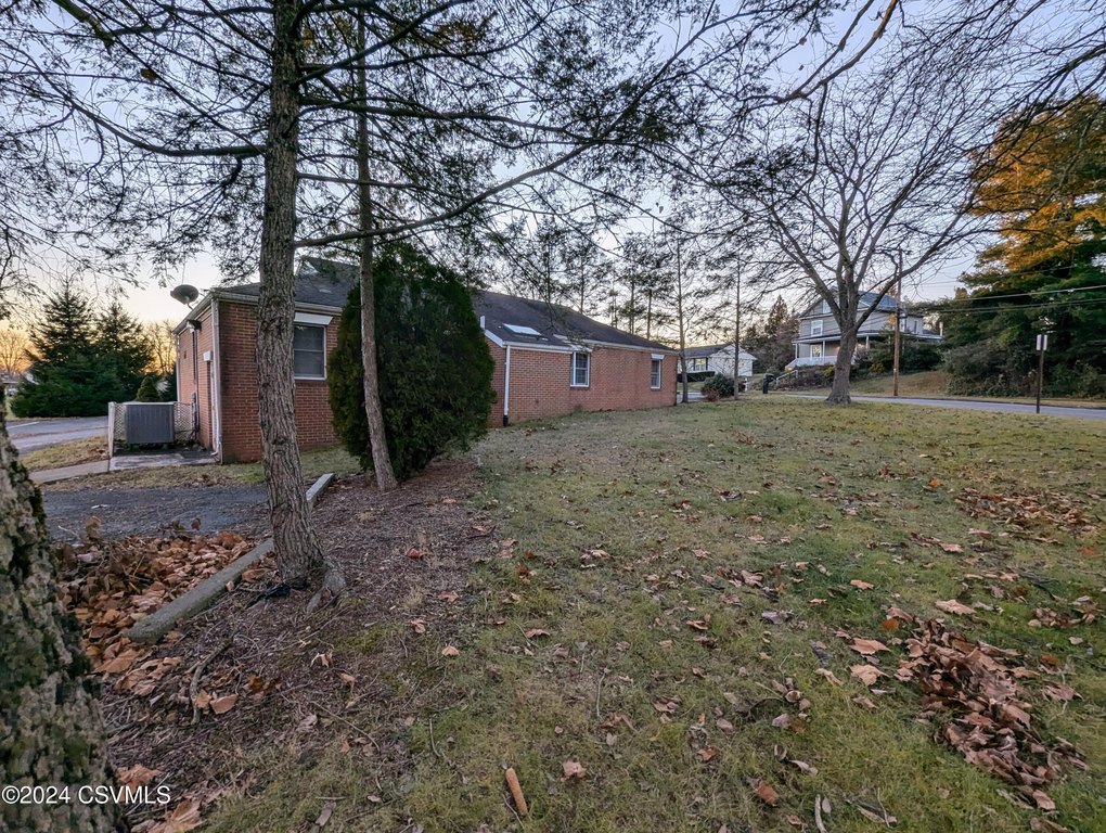 Picture 23