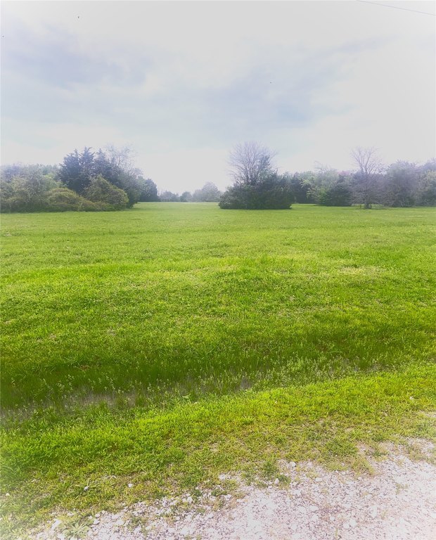 Picture 13
