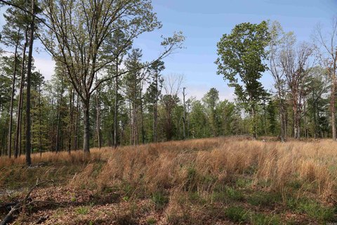Ozark Mountain Acreage For Sale