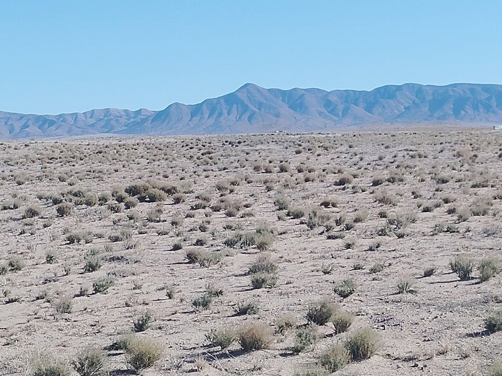 Picture 9