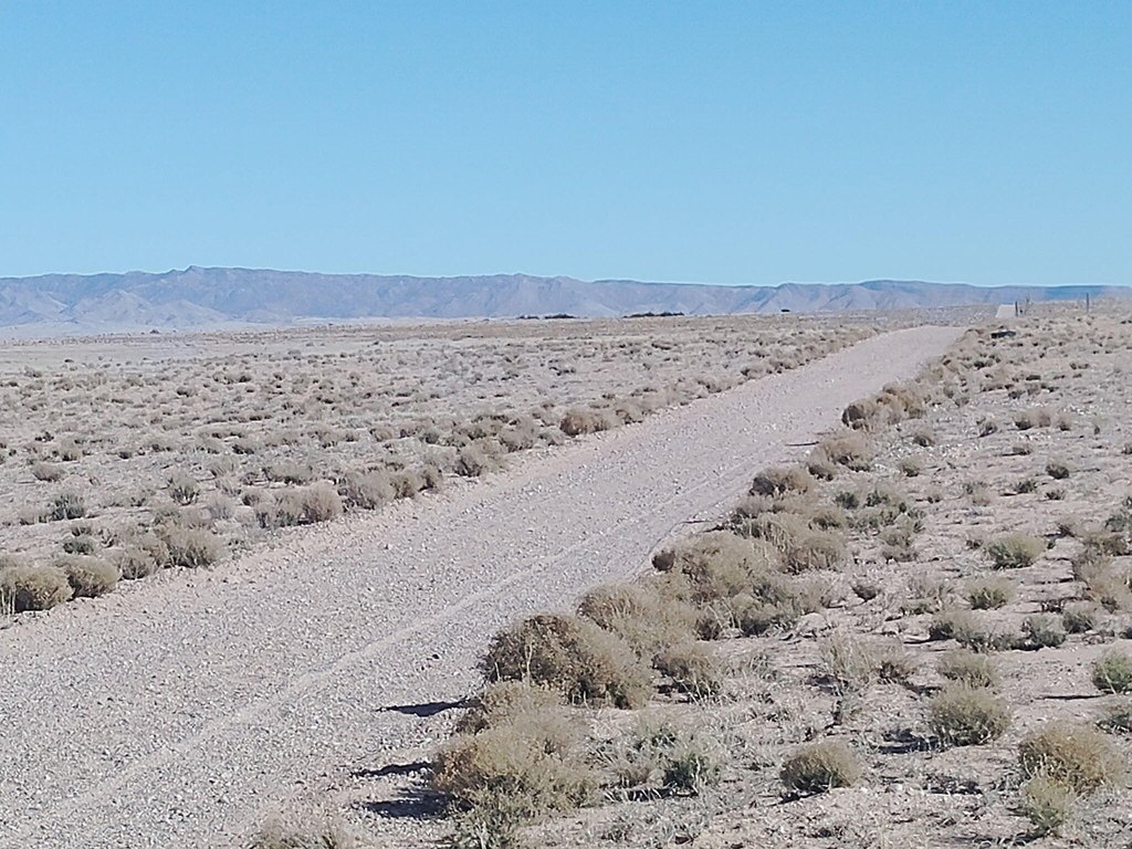 Picture 8