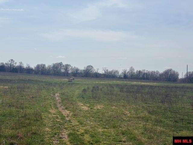 Picture 7