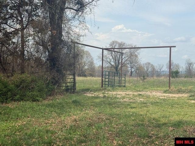 Picture 11