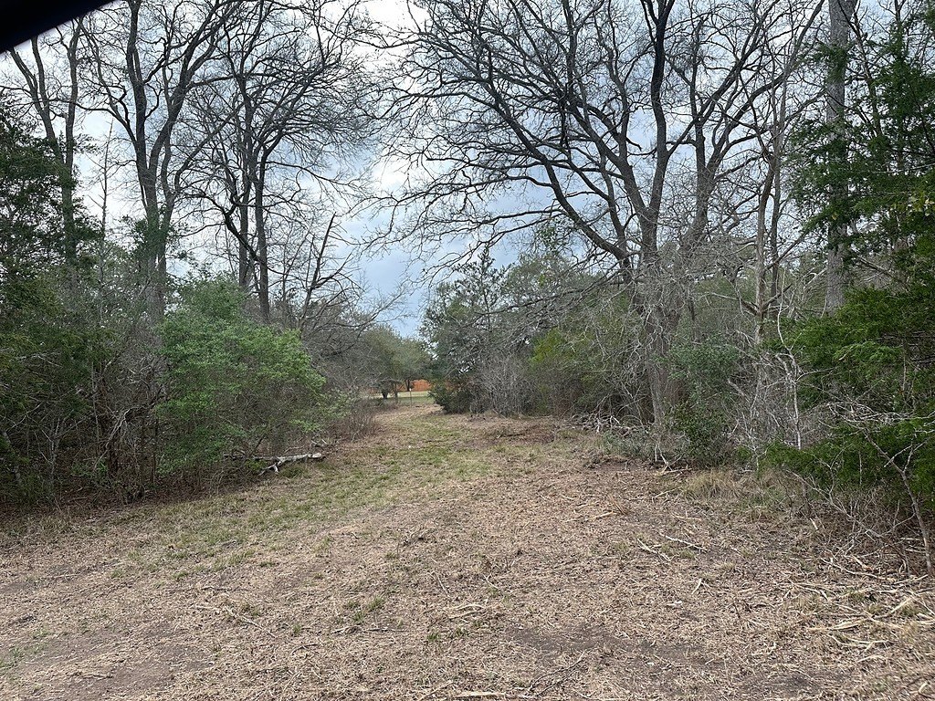 Picture 2