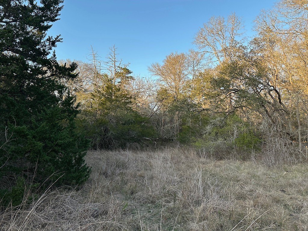 Picture 14