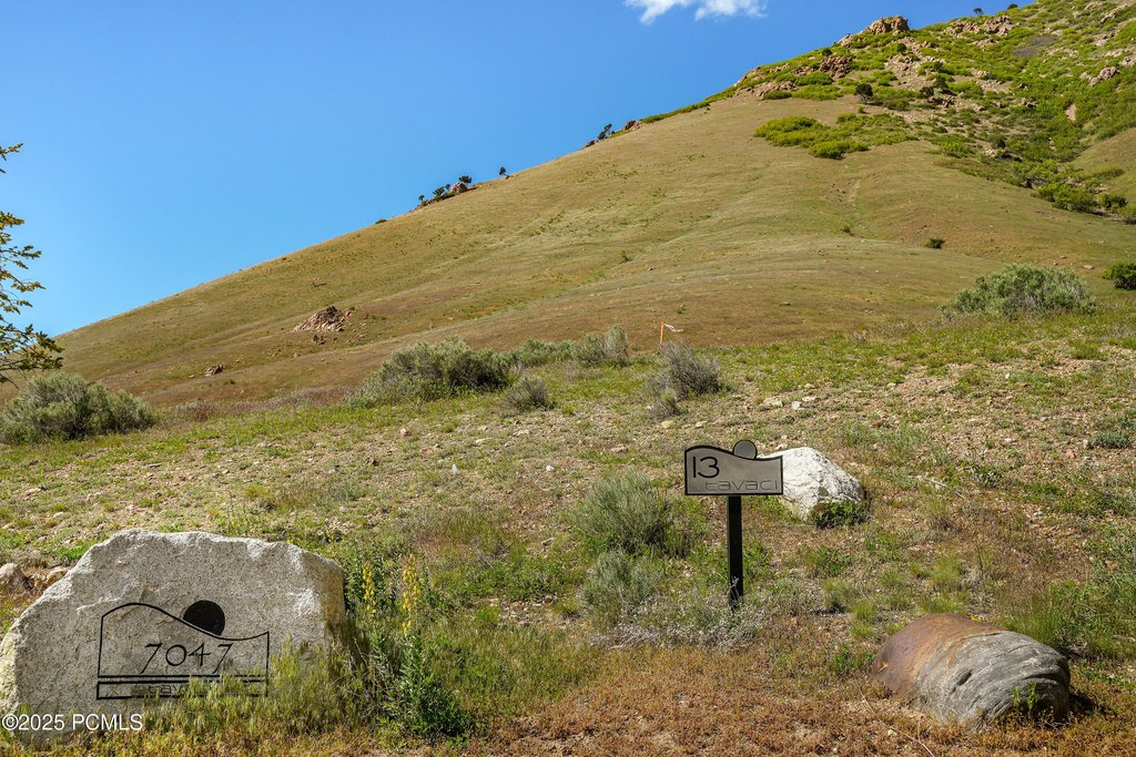 Picture 19